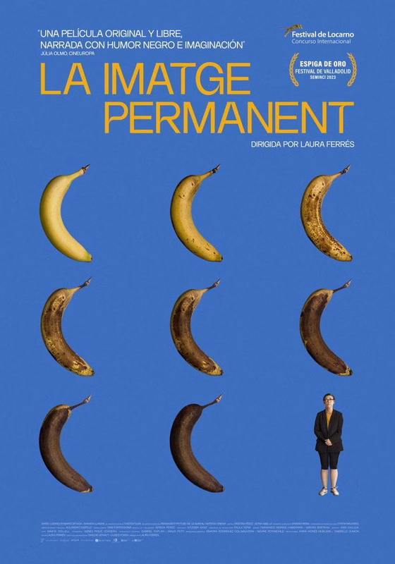 Póster de La imagen permanente