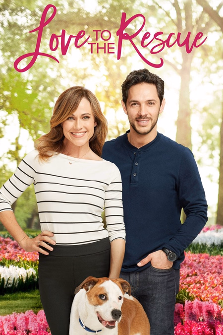 Póster de la película Un amor inesperado