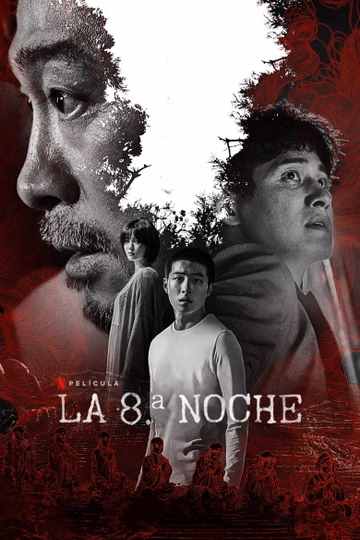 Póster de La 8.ª noche