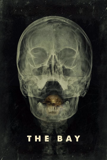 Póster de The Bay