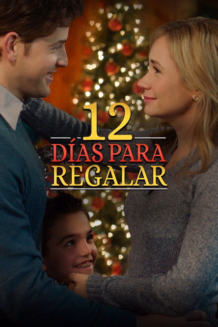 Póster de la película 12 días para regalar
