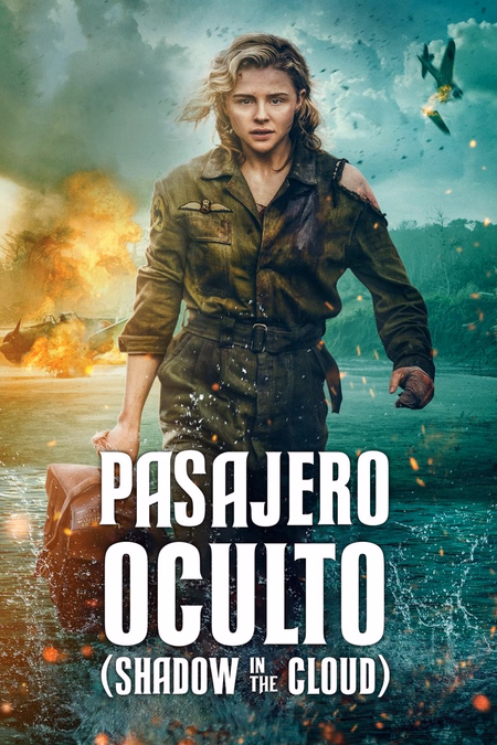 Póster de la película Pasajero oculto