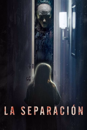Póster de La Separación