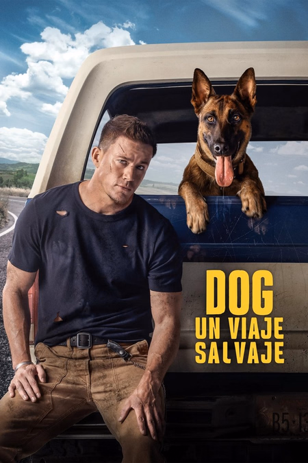 Póster de la película Dog - Un viaje salvaje