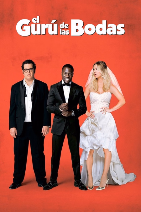 Póster de la película El gurú de las bodas