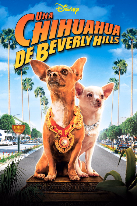 Póster de la película Un chihuahua en Beverly Hills
