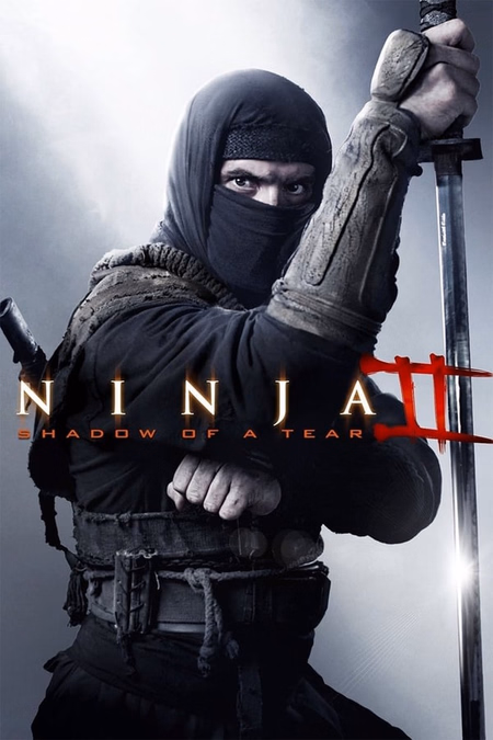 Póster de la película Ninja 2: La sombra de la muerte
