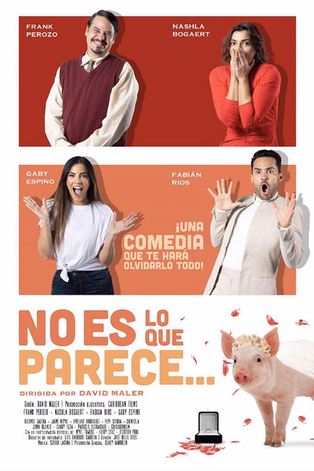 Póster de la película No es lo que parece