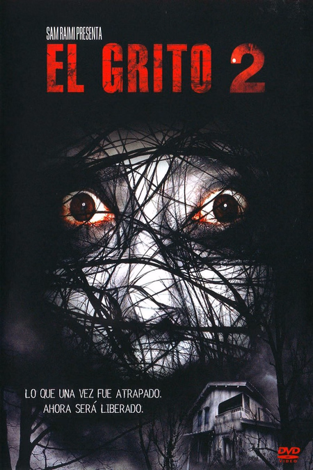 Póster de la película El grito 2