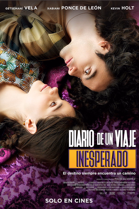 Póster de la película Diario de un viaje inesperado