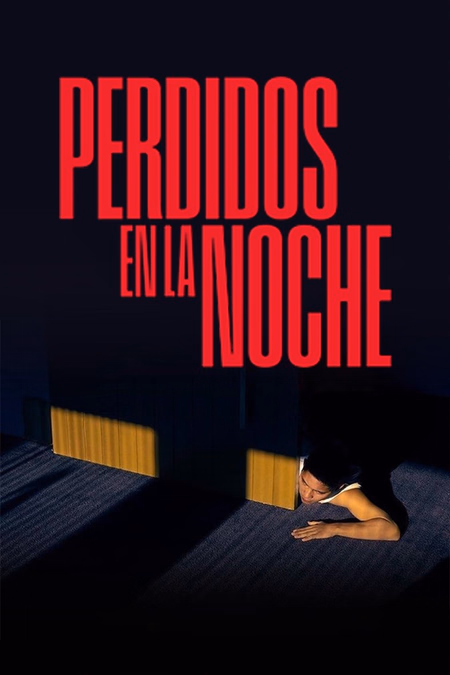 Póster de la película Perdidos en la noche