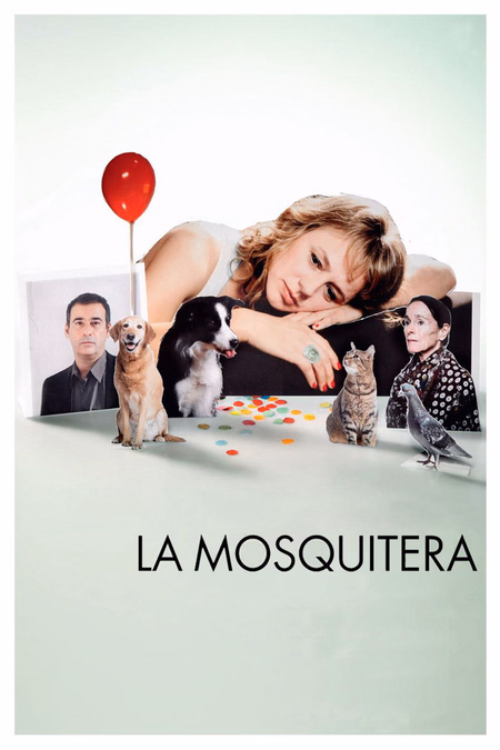 Póster de la película La mosquitera