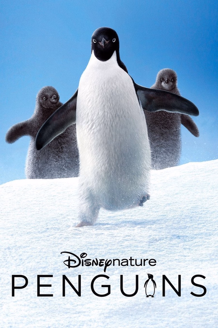 Póster de la película Los pingüinos