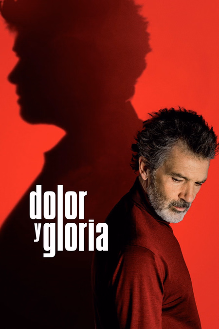 Póster de la película Dolor y gloria