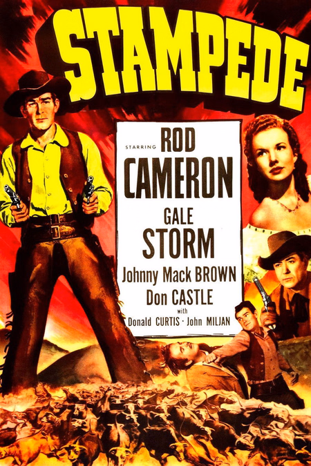 Póster de la película Estampida