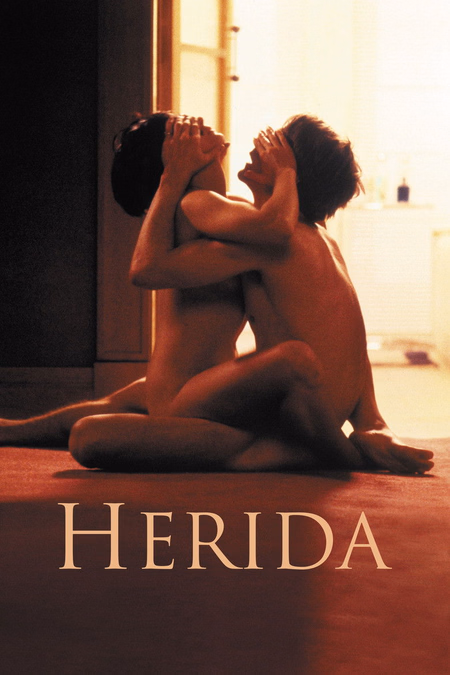 Póster de la película Herida