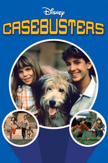 Póster de la película Falsificadores