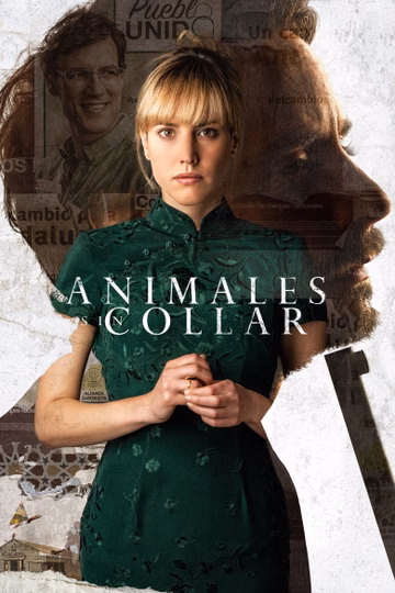 Póster de Animales sin collar