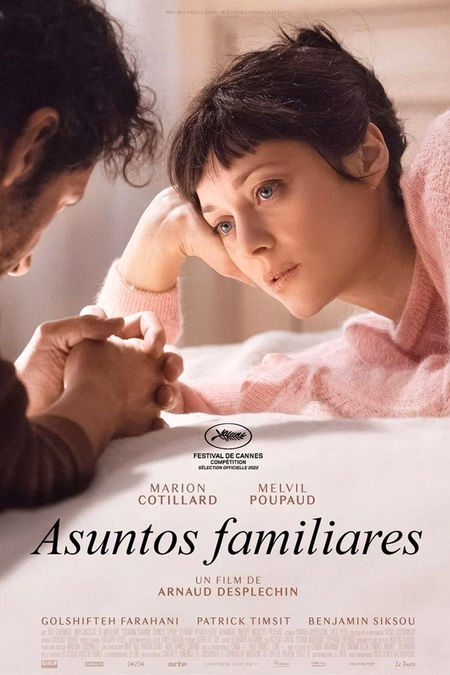 Póster de la película Asuntos familiares