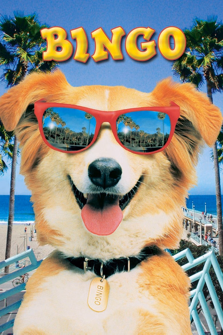 Póster de la película Bingo