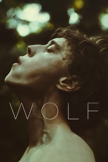 Póster de la película Wolf