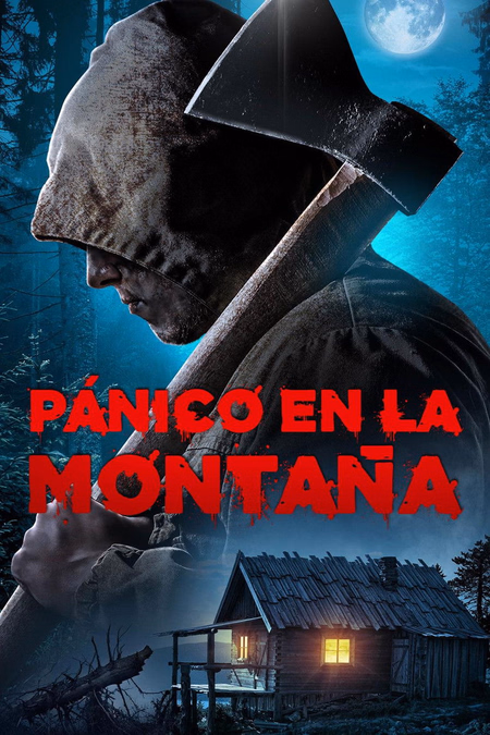 Póster de la película Por qué?