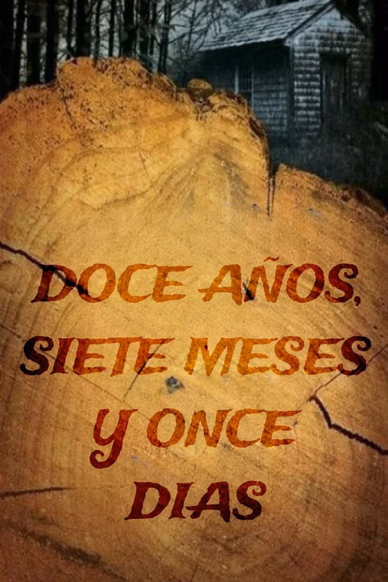 Póster de 12 años, 7 meses y 11 días