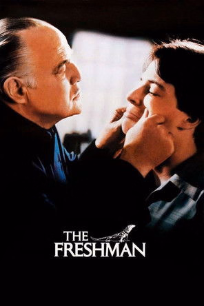 Póster de la película El novato