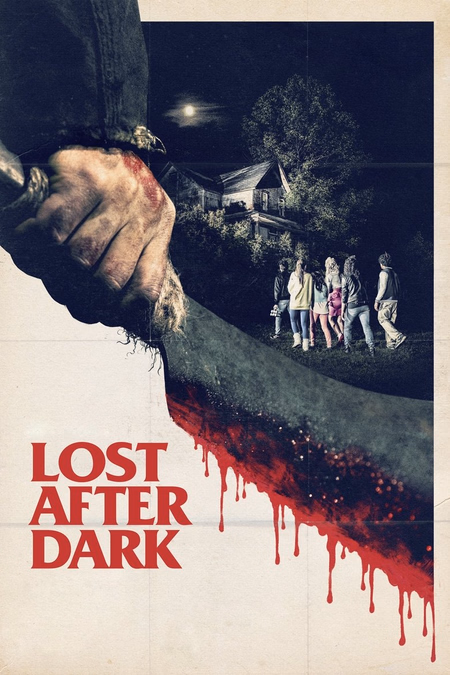 Póster de la película Lost after dark