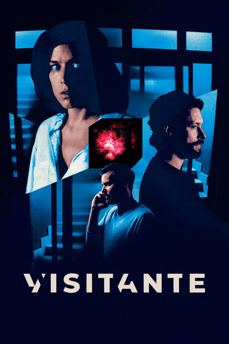 Póster de la película Visitante