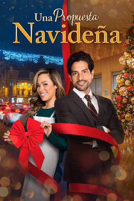 Póster de la película Una Propuesta Navideña