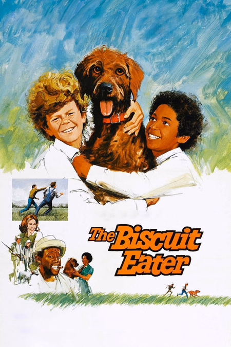 Póster de la película El comebollos