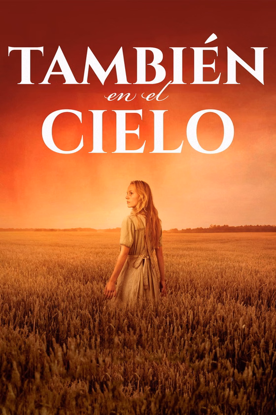 Póster de También en el cielo