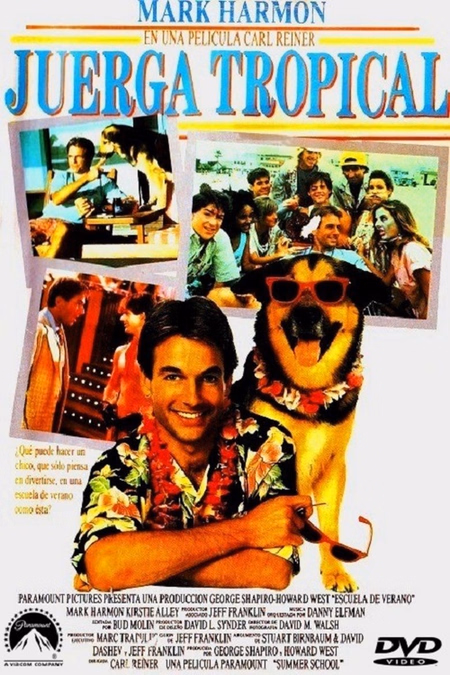 Póster de la película Juerga tropical