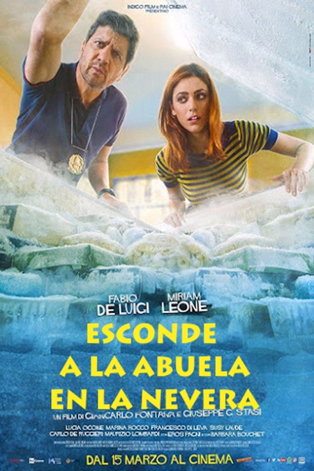 Póster de la película Esconde a la abuela en la nevera