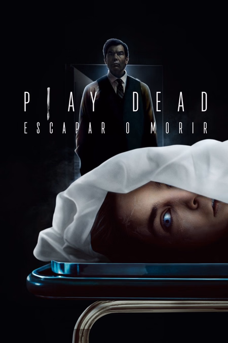 Póster de la película Play Dead