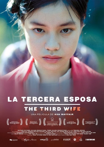 Póster de La tercera esposa