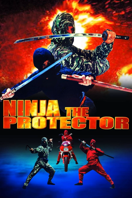 Póster de la película Ninja the Protector