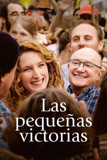 Póster de Las pequeñas victorias