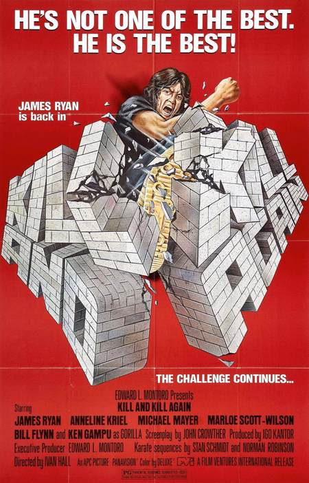 Póster de la película Mata y mata otra vez