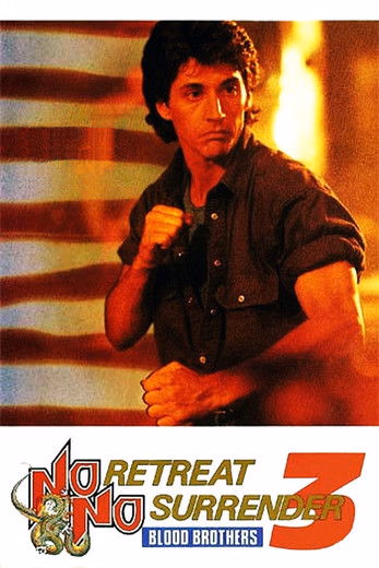 Póster de la película Retroceder nunca, rendirse jamás 3