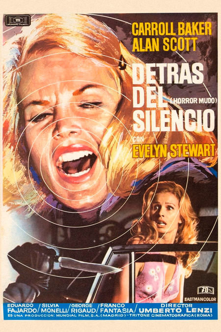 Póster de la película Detrás del silencio