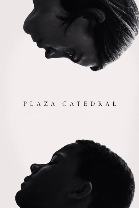 Póster de la película Plaza Catedral