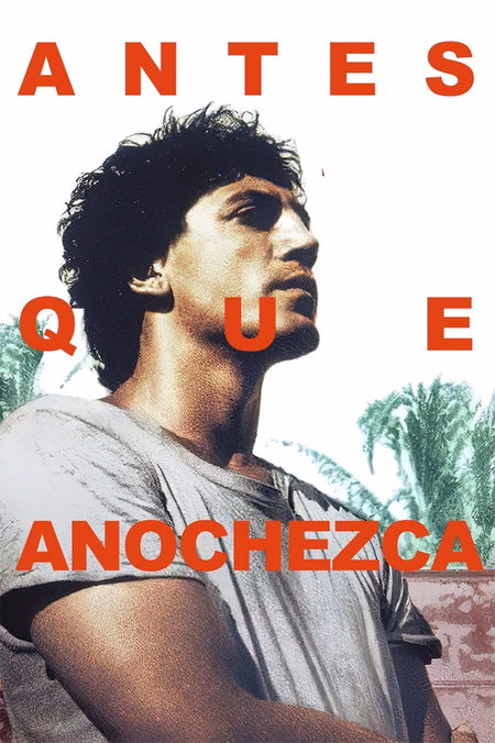 Póster de la película Antes que anochezca