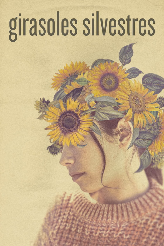 Póster de Girasoles silvestres