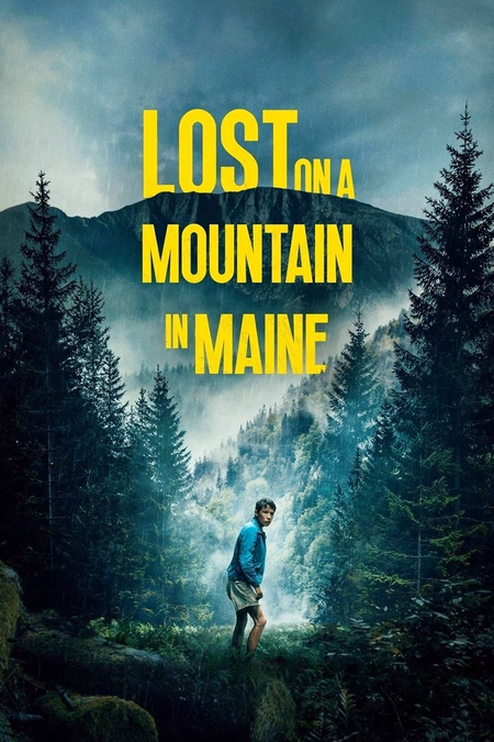 Póster de la película Perdido en la montaña