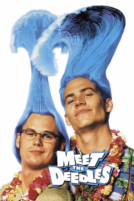 Póster de la película Vaya par de locos