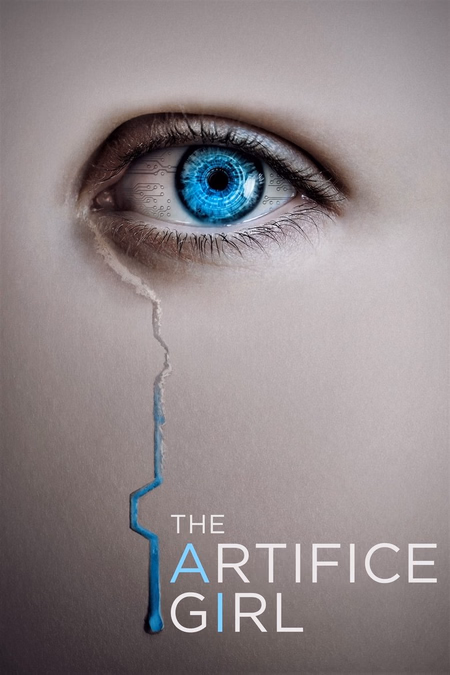 Póster de la película The Artifice Girl