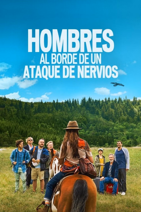Póster de la película Hombres al borde de un ataque de nervios