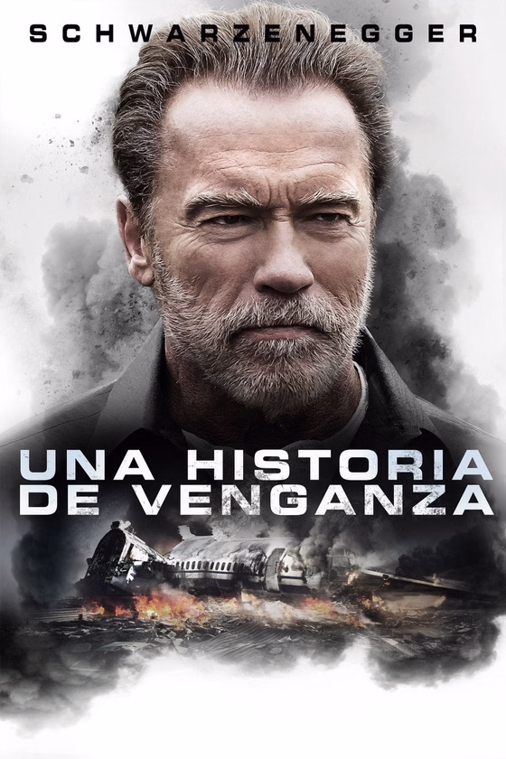 Póster de Una historia de venganza